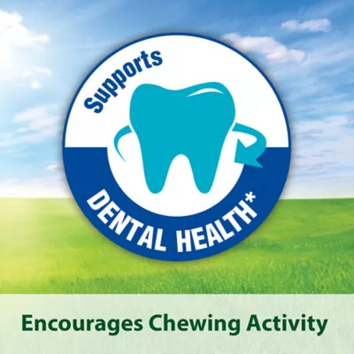 Product Kaytee Timothy Biscuits Baked with Carrot Small Animal Treat