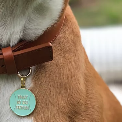 Product Two Tails Pet Company 'That Is So Fetch' Pet ID Tag