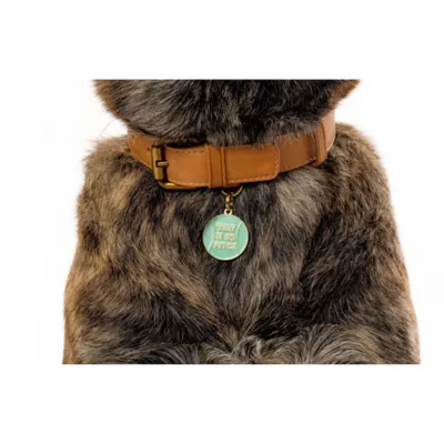 Product Two Tails Pet Company 'That Is So Fetch' Pet ID Tag