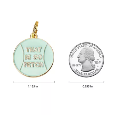 Product Two Tails Pet Company 'That Is So Fetch' Pet ID Tag