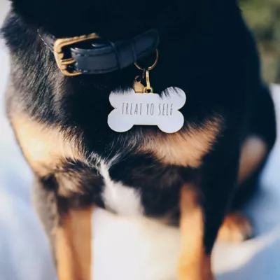 Product Two Tails Pet Company 'Treat Yo Self' Pet ID Tag