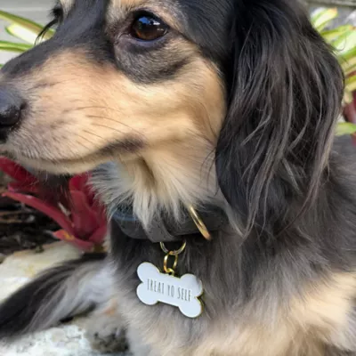 Product Two Tails Pet Company 'Treat Yo Self' Pet ID Tag