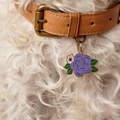 Product Two Tails Pet Company 'Wild Flower' Pet ID Tag