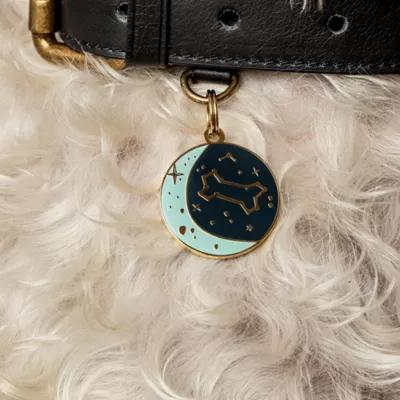 Product Two Tails Pet Company 'Zodiac' Pet ID Tag