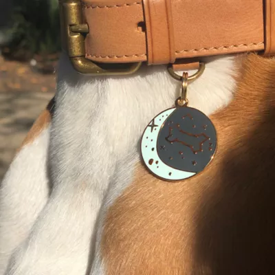 Product Two Tails Pet Company 'Zodiac' Pet ID Tag