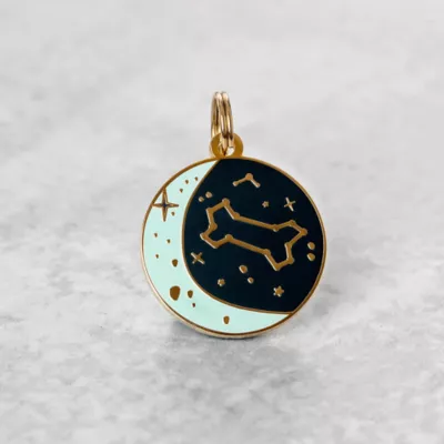 Product Two Tails Pet Company 'Zodiac' Pet ID Tag
