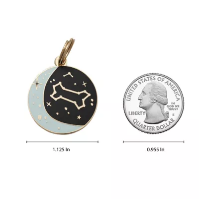 Product Two Tails Pet Company 'Zodiac' Pet ID Tag