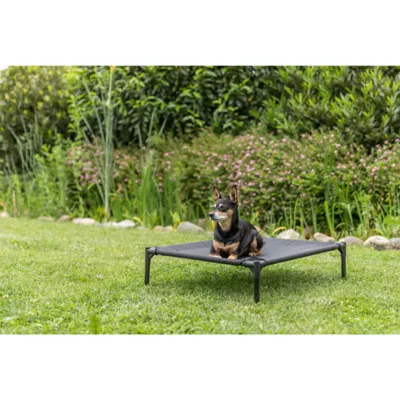 Product TRIXIE 2-in-1 Elevated Portable Dog House/Cot & Tent for Dogs