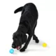 Product West Paw Zogoflex Boundr™ Ball Dog Toy 2-Pack