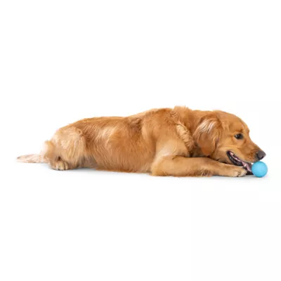 Product West Paw Zogoflex Boundr™ Ball Dog Toy 2-Pack