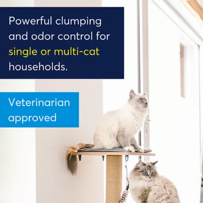 Product OdourLock Ultra Premium Cat Litter - OdourLock Unscented 12KG Bag