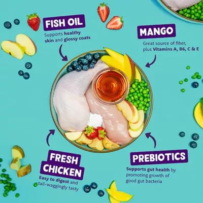 Product Edgard & Cooper Grain Free Adult Dry Dog Food - Chicken