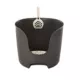 Product Richell® PAW TRAX High Wall Cat Litter Box