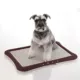 Product Richell PAW TRAX® Mesh Training Tray