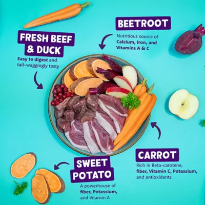 Product Edgard & Cooper Grain Free Adult Wet Dog Food - Beef & Duck Saucy Pate, 5.2 oz