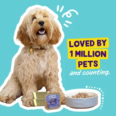 Product Edgard & Cooper Grain Free Adult Wet Dog Food - Beef & Duck Saucy Pate, 5.2 oz