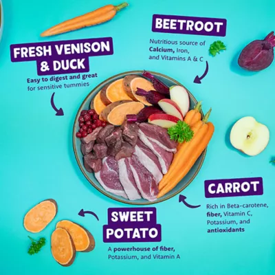 Product Edgard & Cooper Grain Free Adult Wet Dog Food - Venison & Duck Saucy Pate