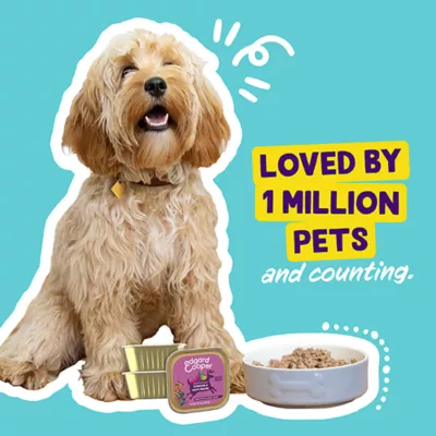 Product Edgard & Cooper Grain Free Adult Wet Dog Food - Venison & Duck Saucy Pate