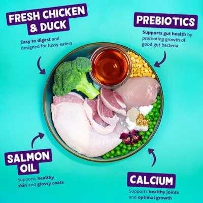 Product Edgard & Cooper Grain Free Puppy Wet Dog Food - Chicken & Duck Saucy Pate