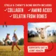 Product Stella & Chewy's Bountiful Bone Broth All Life Stages Dog Food Topper - Beef
