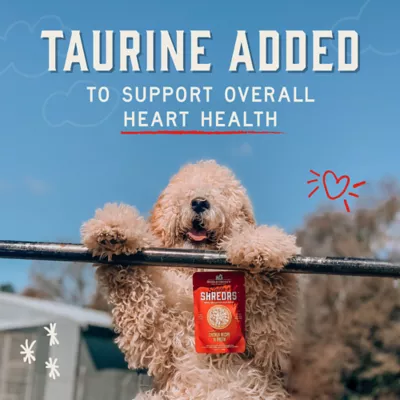 Product Stella & Chewy's Stella's Shredrs Adult Dog Wet Food or Topper - Chicken & Duck