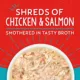 Product Stella & Chewy's Lil Bites Savory Stews Small Breed Adult Wet Dog Food - Chicken & Salmon