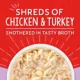 Product Stella & Chewy's Lil Bites Savory Stews Small Breed Adult Wet Dog Food - Beef & Turkey