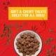Product Stella and Chewy Crav'n Bac'n Bites Dog Treats 8.25 OZ