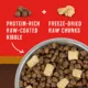 Product Stella & Chewy's Wild Red Raw Blend All Life Stages Dry Dog Food - Grain & Legume Free, Prairie