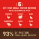 Product Stella & Chewy's Wild Red Raw Blend All Life Stages Dry Dog Food - Grain & Legume Free, Prairie