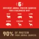 Product Stella & Chewy's Wild Red Raw Blend All Life Stages Dry Dog Food - Grain & Legume Free, Red Meat