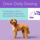 Product Zenrelia (ilunocitinib) Tablets for Dogs - 15 mg