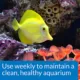 Product API® Stress Zyme Aquarium Water Conditioner