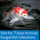 Product API® Pimafix Fish Fungal Infection Treatment