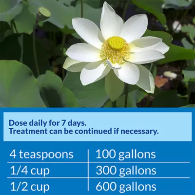 Product API® Pimafix Fish Fungal Infection Treatment