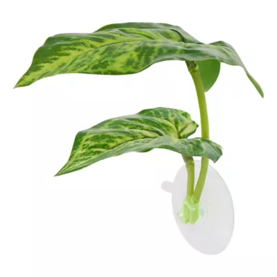 Product Top Fin® Betta Double Leaf