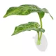 Product Top Fin® Betta Double Leaf
