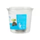 Product Top Fin® Anubias Live Aquatic Plant with Rock Base