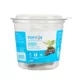 Product Top Fin® Anubias Live Aquatic Plant with Rock Base