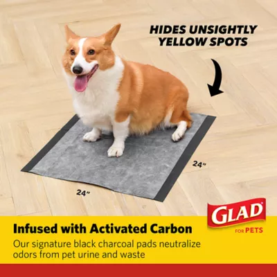 Product Glad for Pets Heavy Duty Activated Carbon Training Pads - 24" x 24" 100ct