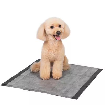 Product Glad for Pets Activated Carbon Training Pads for Puppies and Senior Dogs, 23" x 23" 50ct