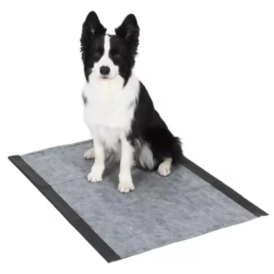 Product Glad for Pets Jumbo Activated Carbon Training Pads, 28"x 30" 50Ct