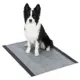 Product Glad for Pets Jumbo Activated Carbon Training Pads, 28"x 30" 50Ct