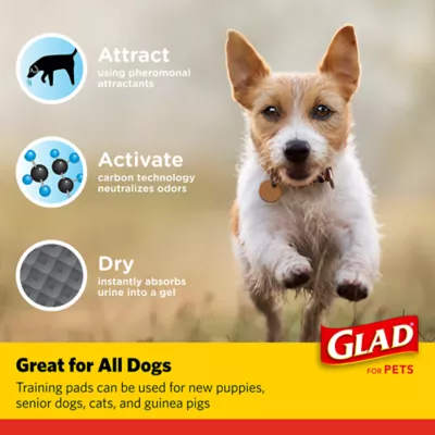 Product Glad for Pets Activated Carbon Training Pads for Puppies and Senior Dogs, 23" x 23" 30ct
