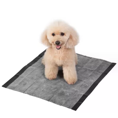 Product Glad for Pets Activated Carbon Training Pads for Puppies and Senior Dogs, 23" x 23" 30ct
