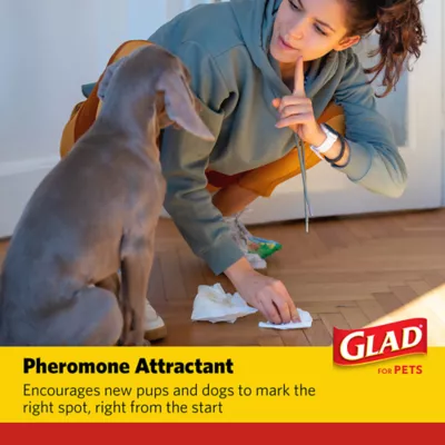 Product Glad for Pets Activated Carbon Training Pads with Micro-Defensive Technology - 23" x 23" 100ct
