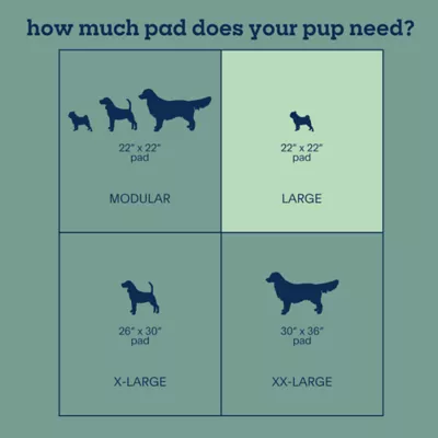 Product Pet Life Unlimited Health Tracker Dog Pads, Large, 20 Count
