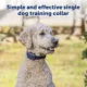Product PetSafe Basic Dog Trainer with Remote - Waterproof Training Collar - 300 ft Range