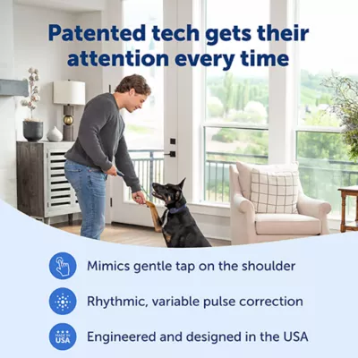 Product PetSafe Basic Dog Trainer with Remote - Waterproof Training Collar - 300 ft Range