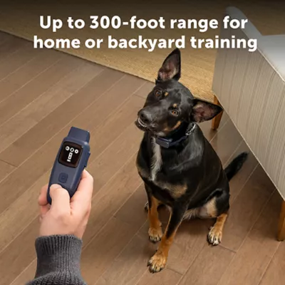 Product PetSafe Basic Dog Trainer with Remote - Waterproof Training Collar - 300 ft Range